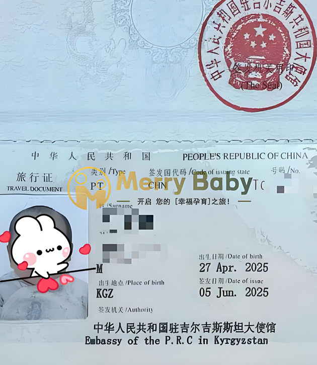 代孕宝宝回国旅行证
