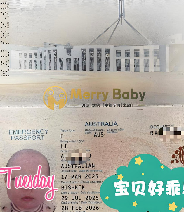 宝宝回国旅行证